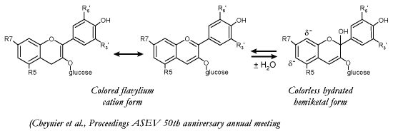 Major anthocyanins