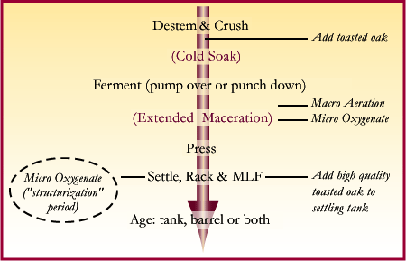 Enhanced red wine fermentation process - Erfp Txt